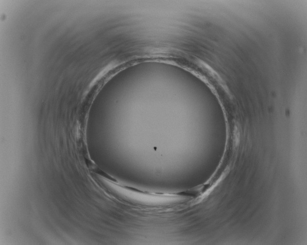 X0000084021449200703022045