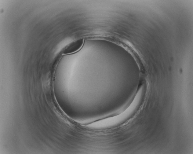 X0000084021450200703022045