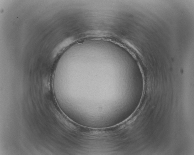 X0000084021451200703022045