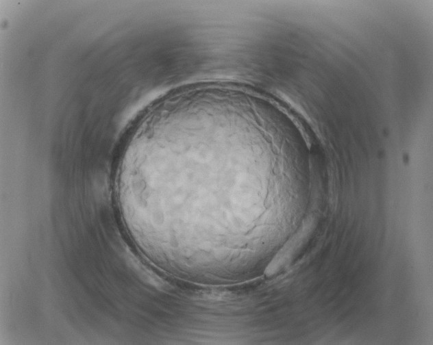 X0000084021452200703022045