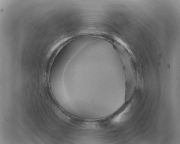 X0000084021453200703022045