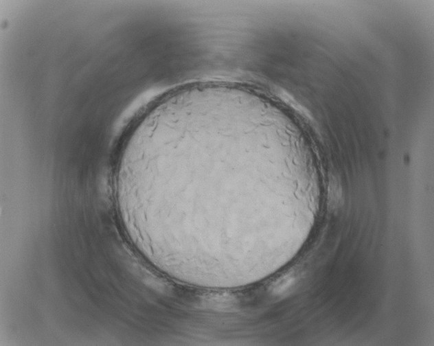 X0000084021454200703022045