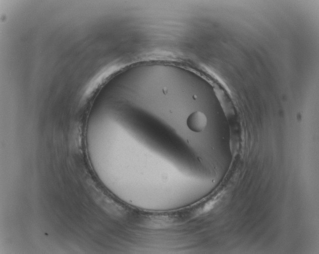 X0000084021455200703022045