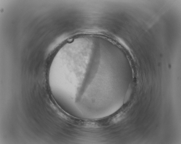 X0000084021456200703022044