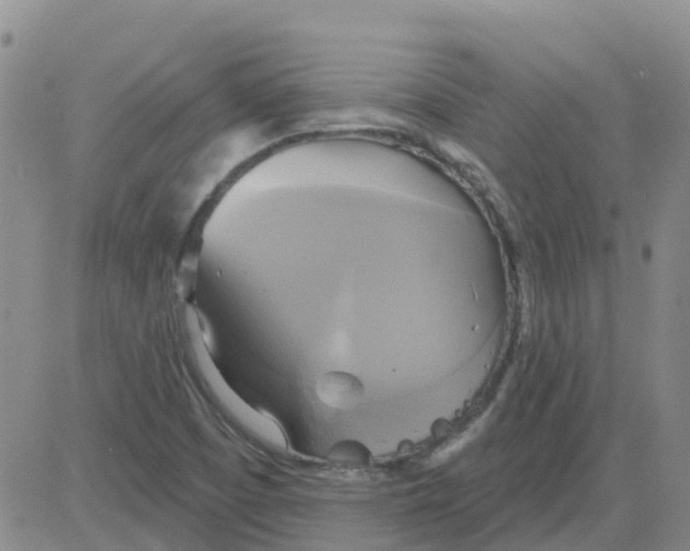 X0000084021457200703022044