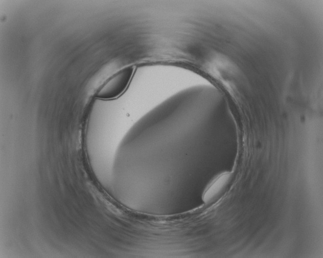 X0000084021459200703022044