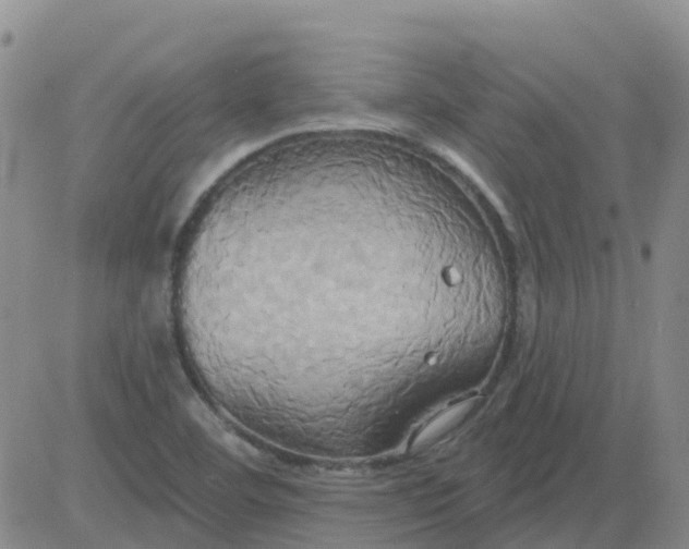 X0000084021460200703022044