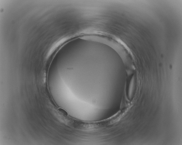 X0000084021461200703022044