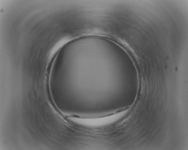 X0000084021463200703022044