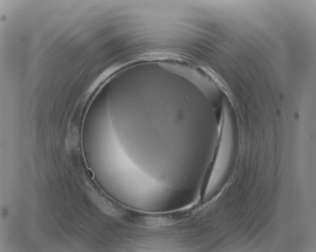 X0000084021465200703022044