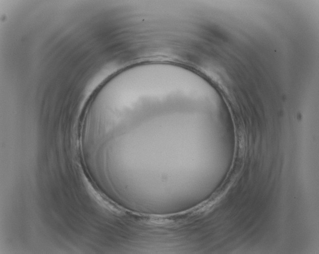 X0000084021466200703022044