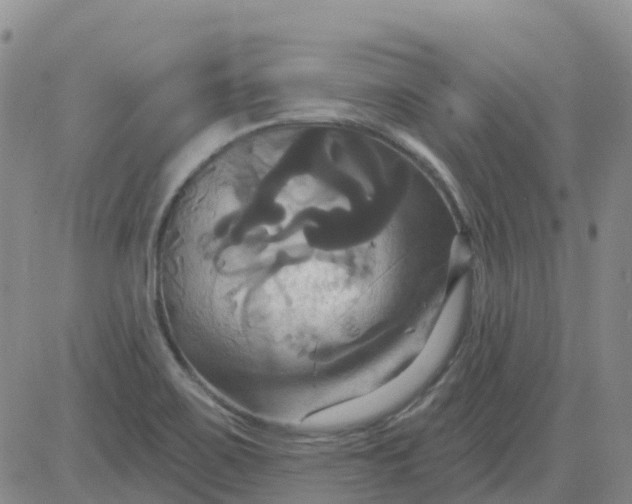 X0000084021467200703022044