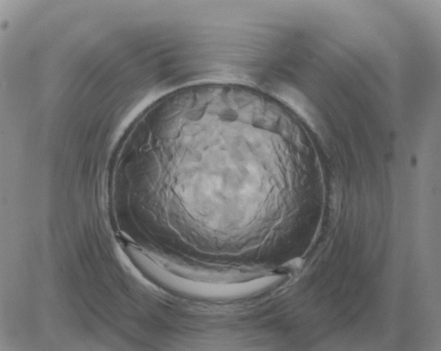 X0000084021468200703022044