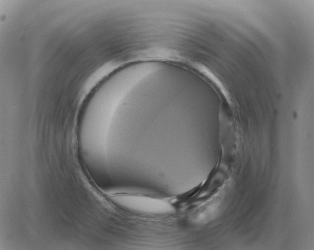 X0000084021469200703022044