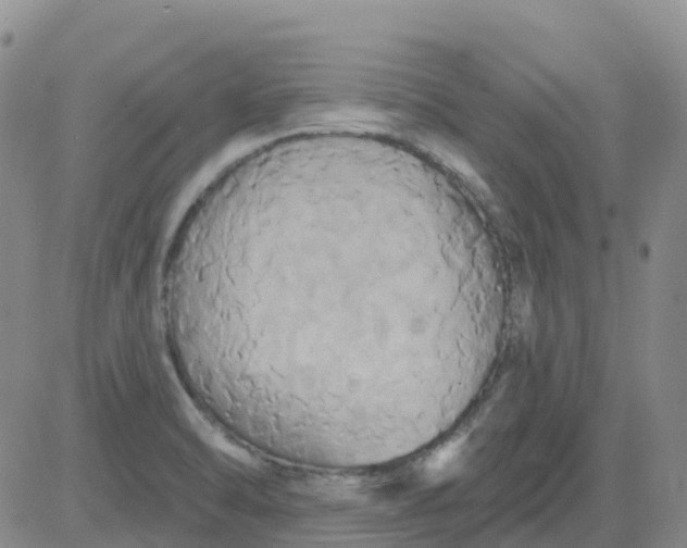 X0000084021470200703022044