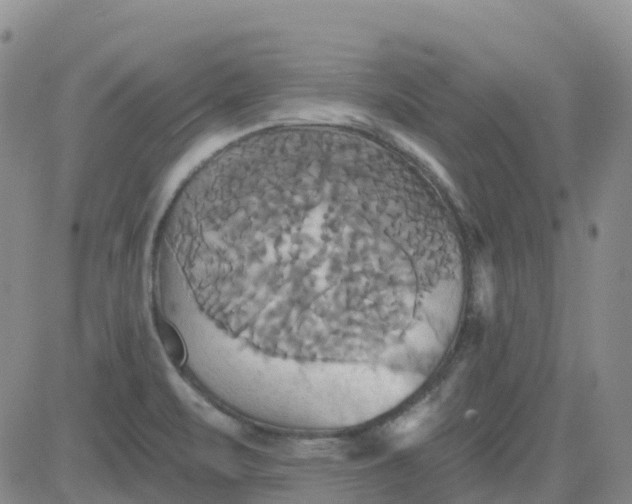 X0000084021471200703022044