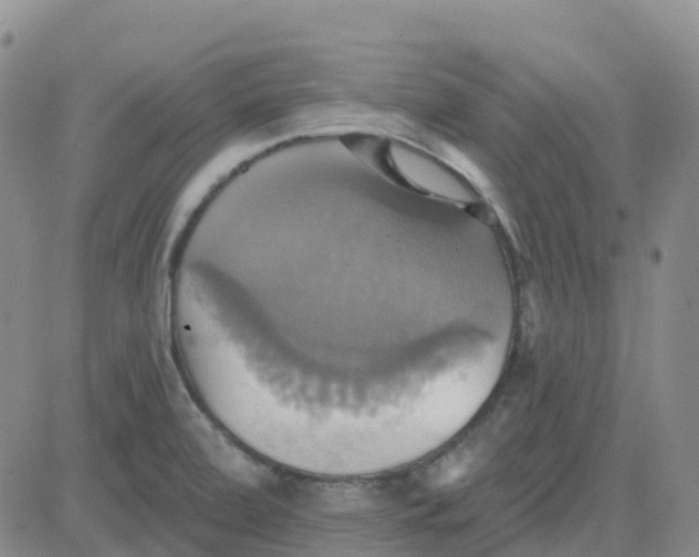 X0000084021472200703022044