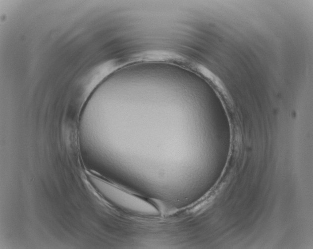 X0000084021473200703022044