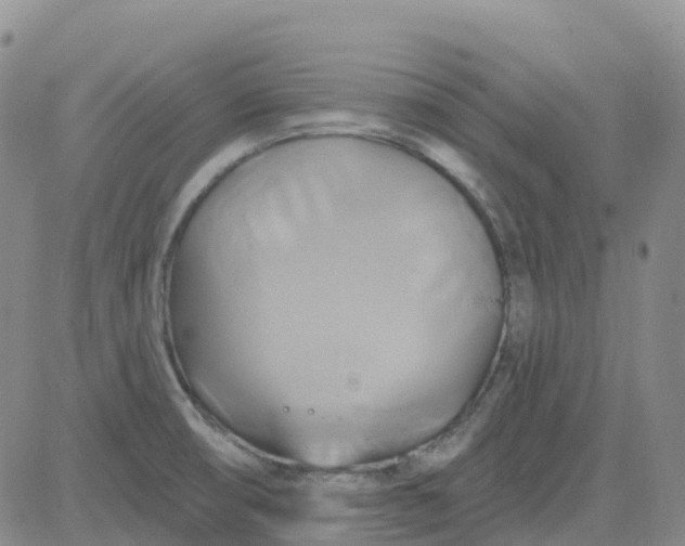 X0000084021474200703022044