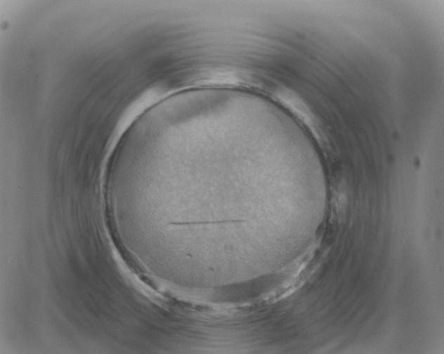 X0000084021475200703022044