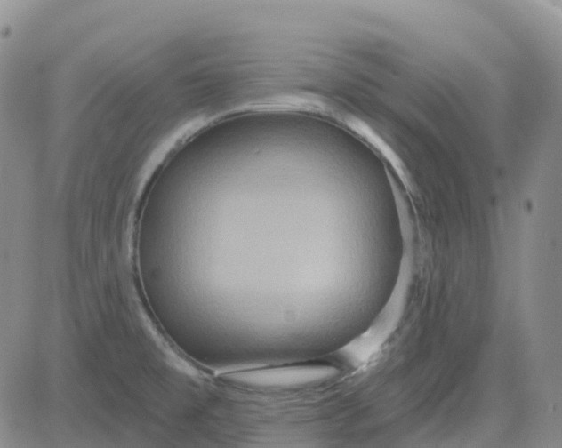 X0000084021477200703022044