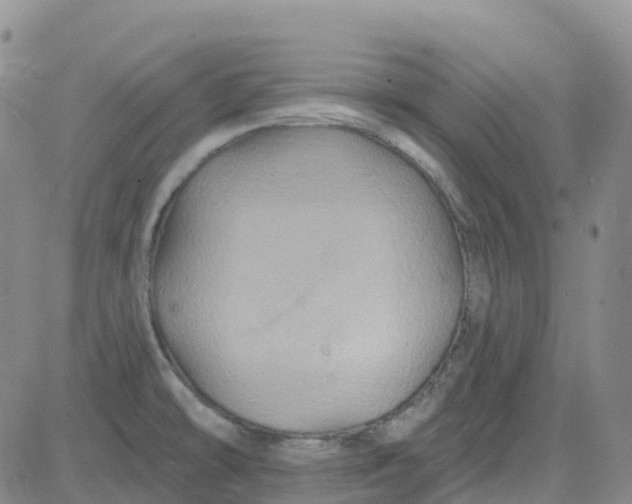 X0000084021478200703022044