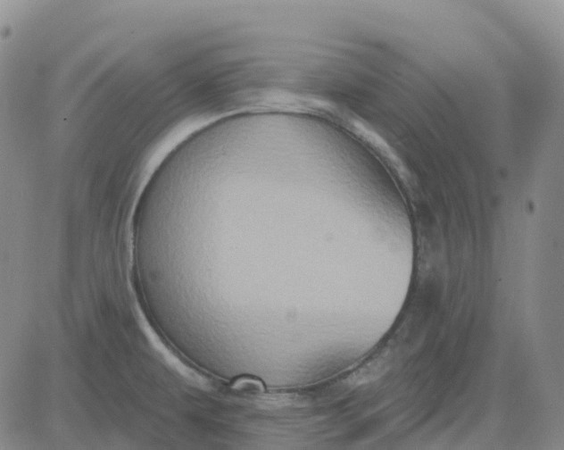 X0000084021479200703022044