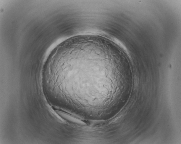 X0000084021480200703022044