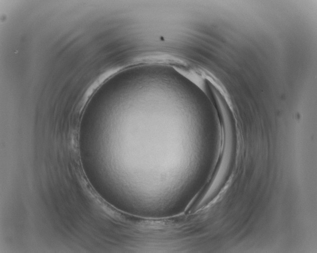 X0000084021481200703022044