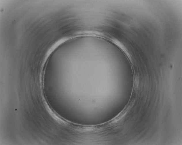 X0000084021482200703022044