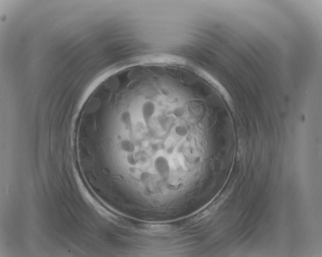 X0000084021483200703022044