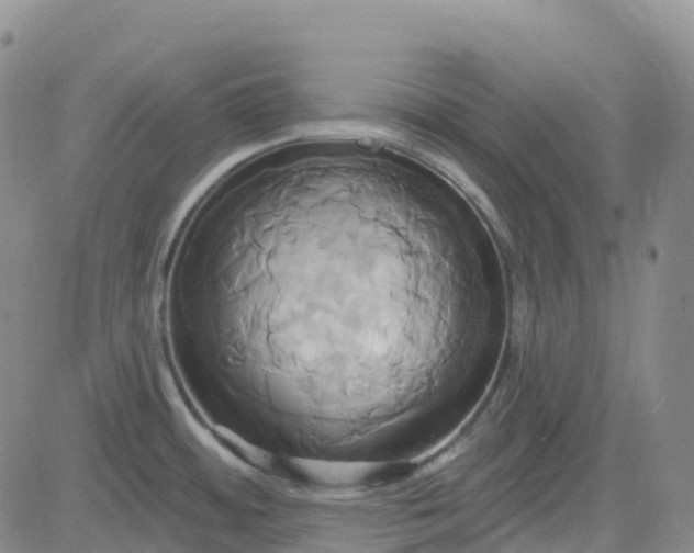 X0000084021484200703022044