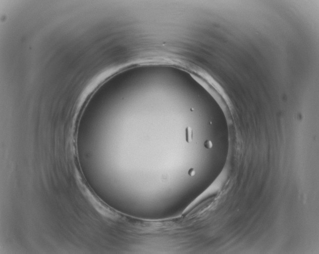 X0000084021485200703022044