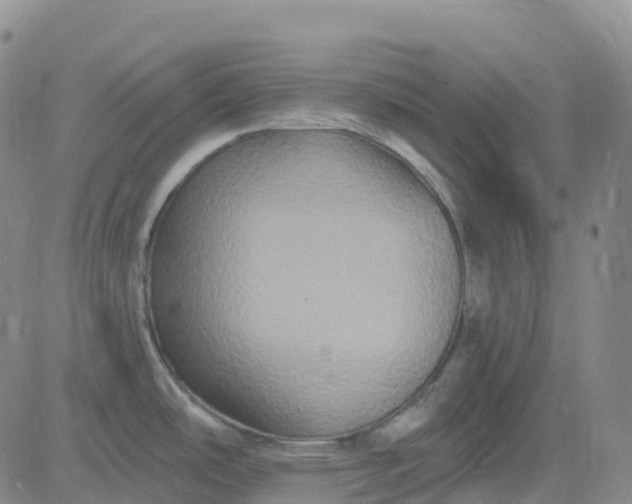 X0000084021486200703022044