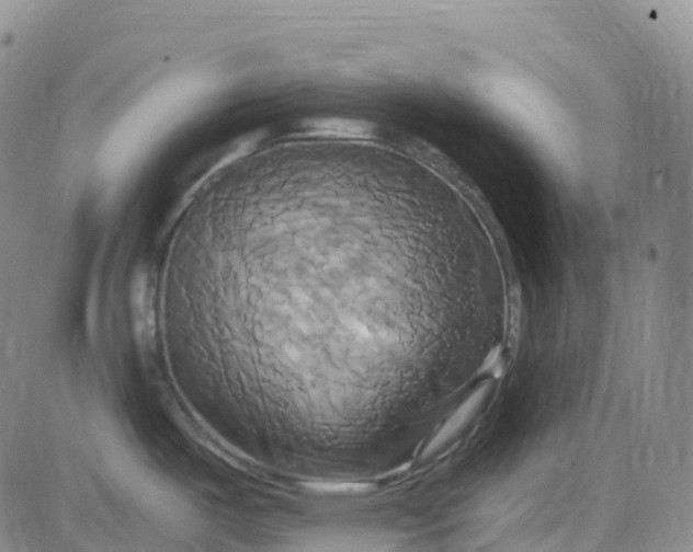 X0000084021487200703022044