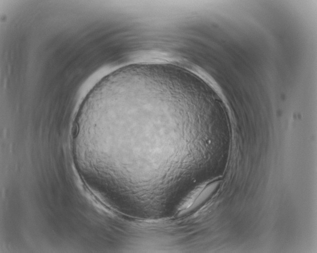 X0000084021488200703022044