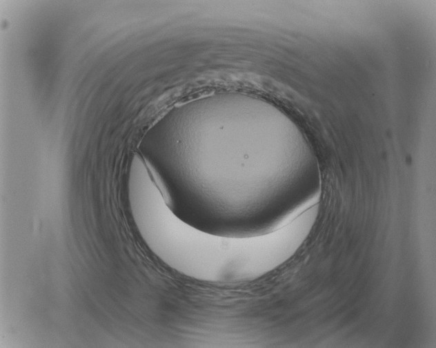 X0000084021489200703022043