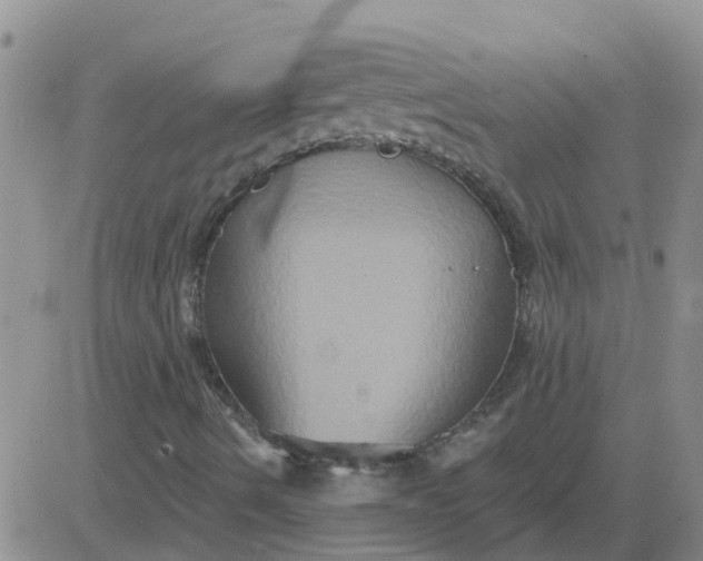 X0000084021490200703022043