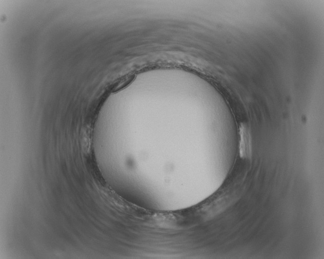 X0000084021491200703022043