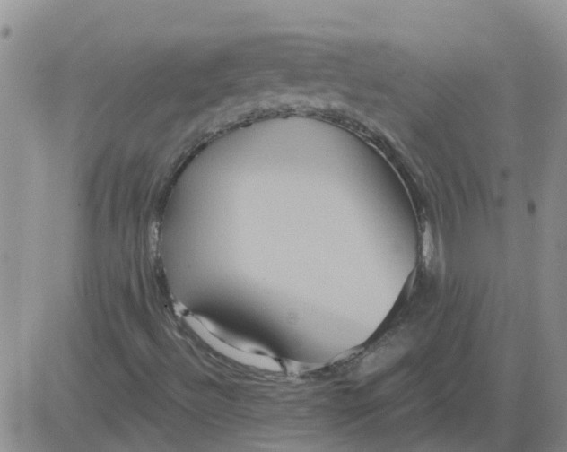 X0000084021492200703022043