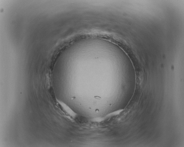 X0000084021493200703022043