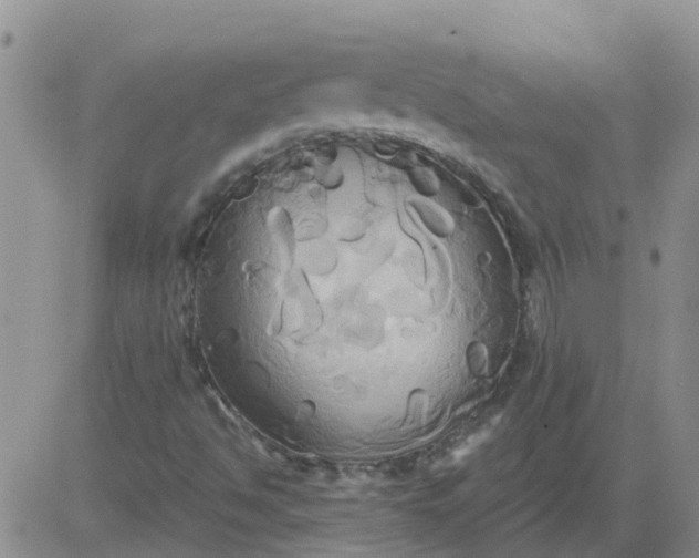 X0000084021494200703022043