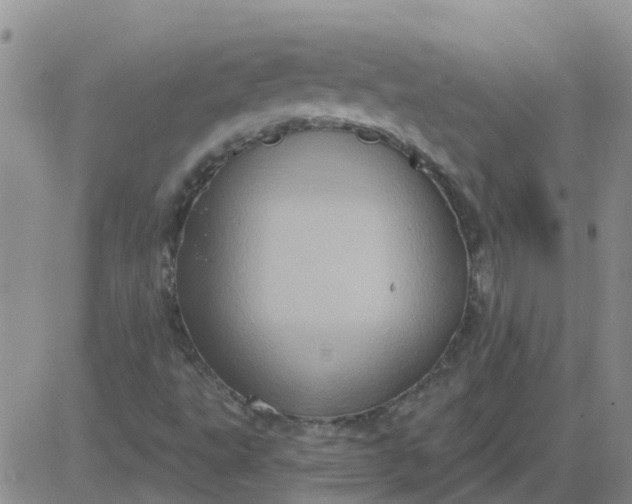 X0000084021495200703022043