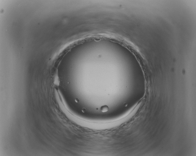 X0000084021496200703022043