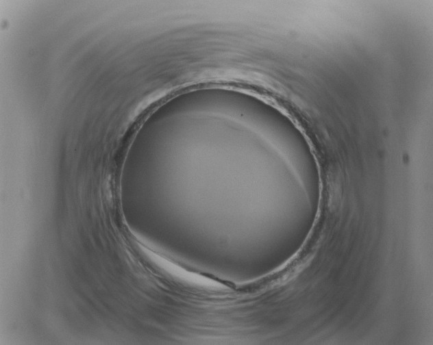 X0000084021497200703022043