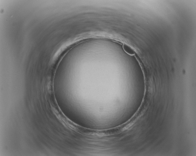 X0000084021499200703022043