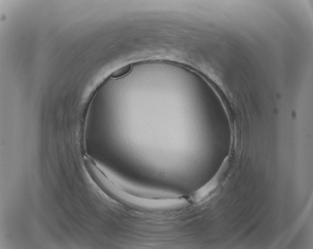 X0000084021500200703022043