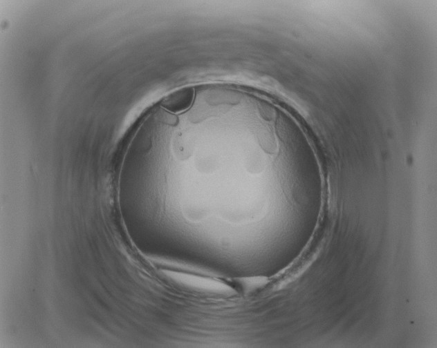 X0000084021501200703022043