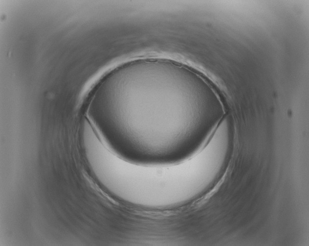 X0000084021502200703022043