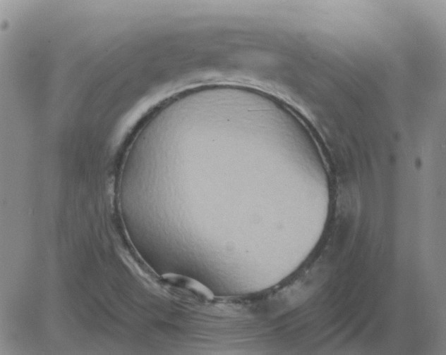 X0000084021503200703022043